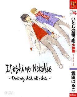 Itoshi No Nekokke
