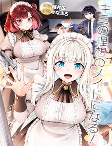 Kimi No Risou No Maid Ni Naru!