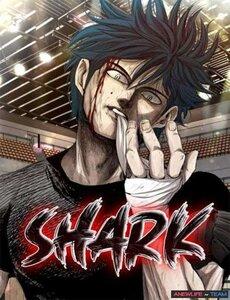 Shark