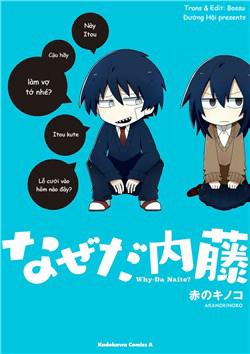 Why Naitou
